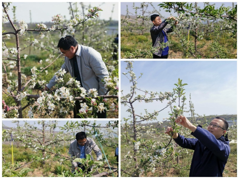 202004291588122479603864.jpg 5ef39a69-dbf6-499d-82c2-d17a9ad6df67.jpg