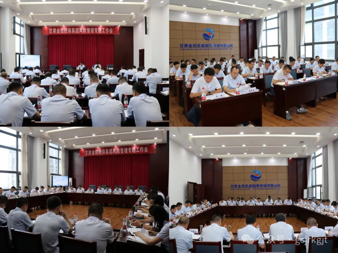 甘肅金控?fù)?dān)保集團(tuán)召開風(fēng)險管理專題工作會